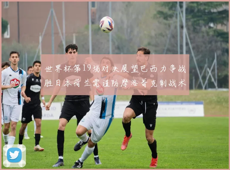 世界杯第19场对决展望巴西力争战胜日本荷兰需谨防摩洛哥克制战术
